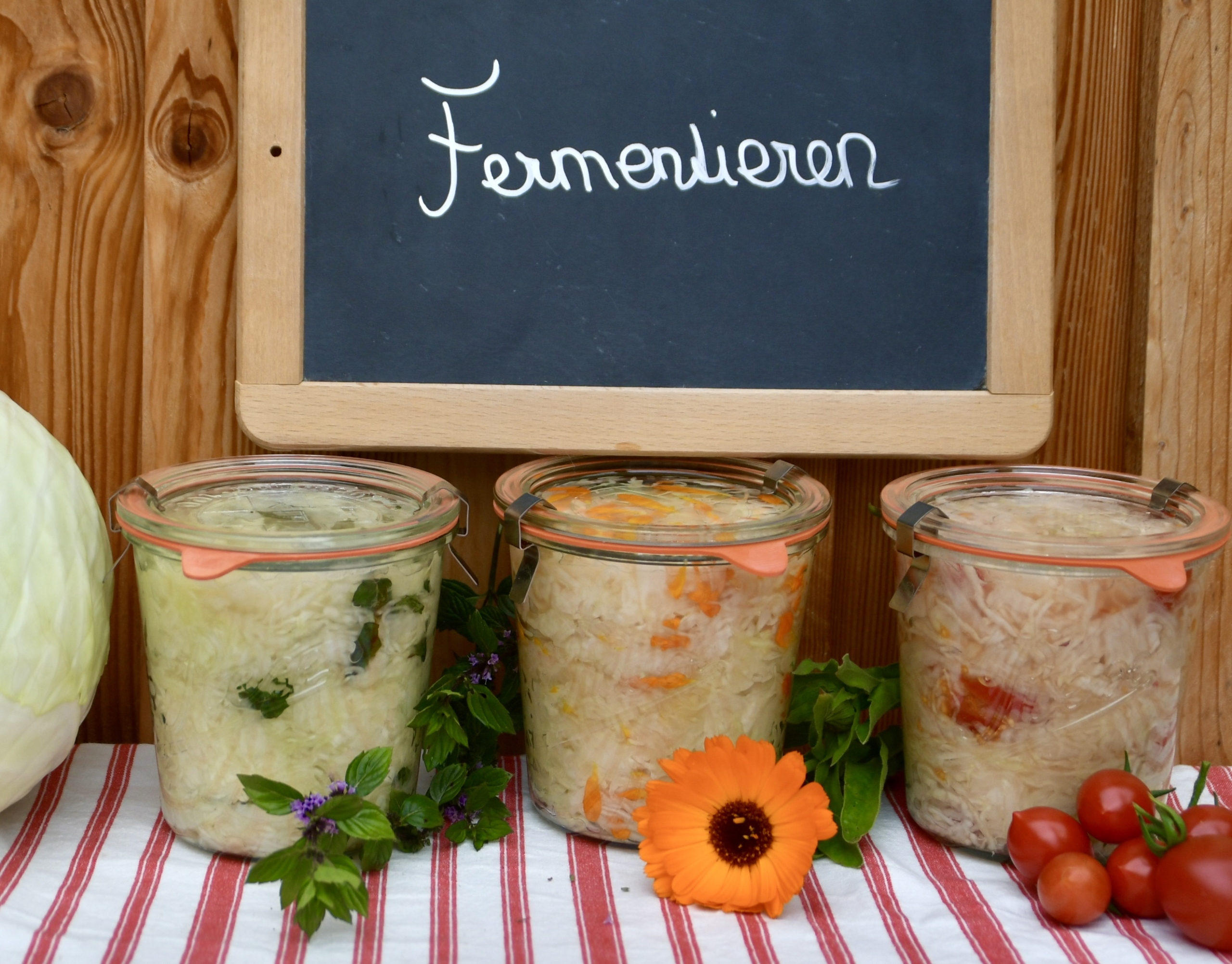 fandler-fermentieren-workshop-mit-wolfgang-zemanek-3-stunden image 1